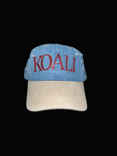 DENIM HAT